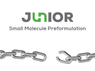 Junior Small Molecule Preformulation