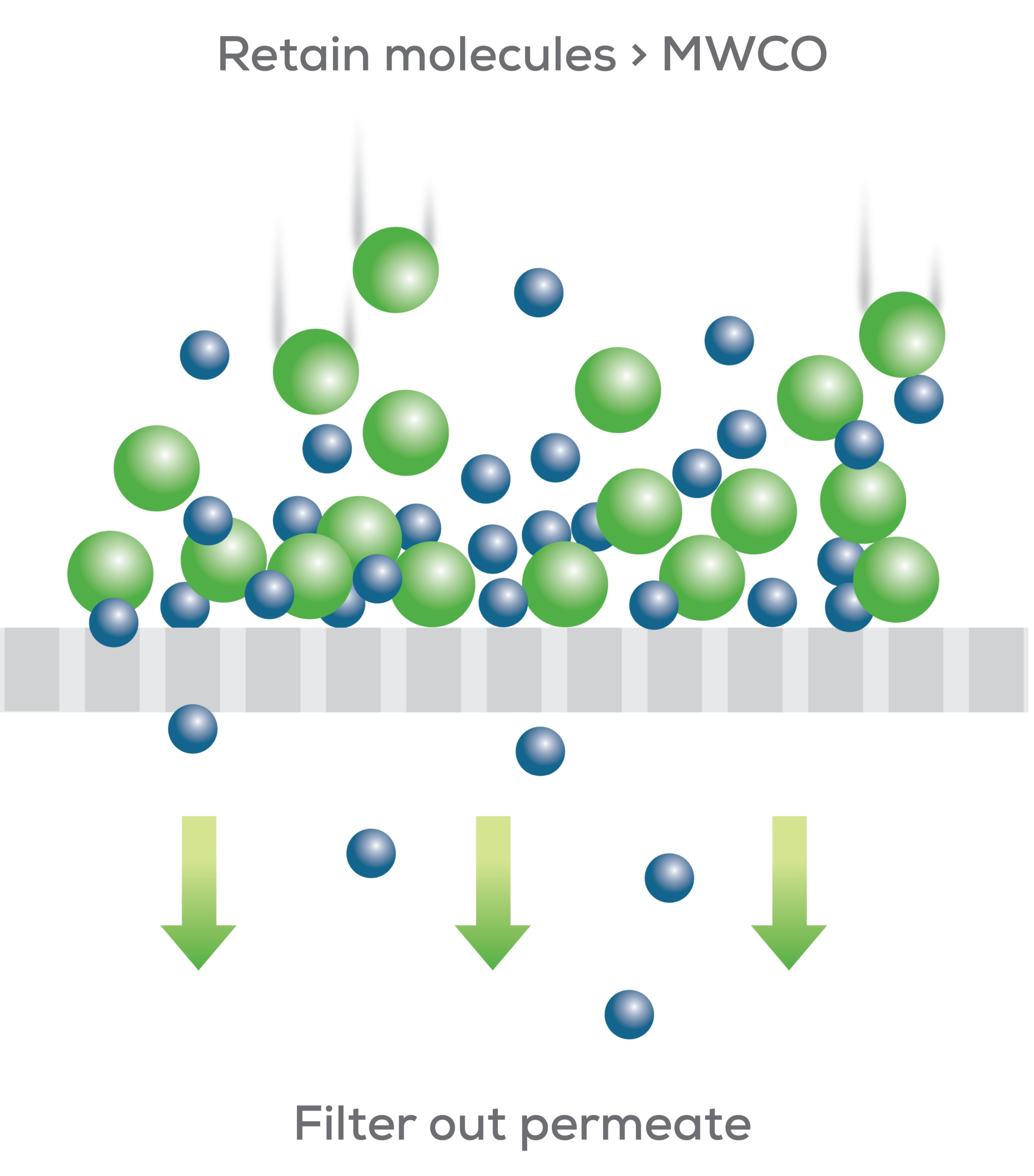 Filtration diagram