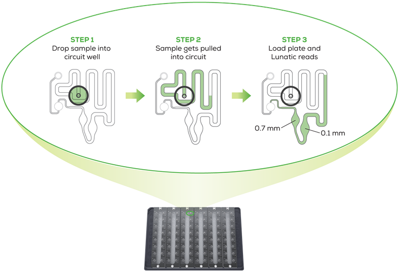 lunatic-channel-diagram-trans-2 lunatic-channel-diagram-trans-2