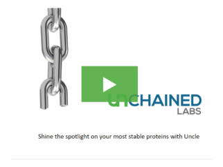 Shine the spotlight on your most stable proteins with Uncle