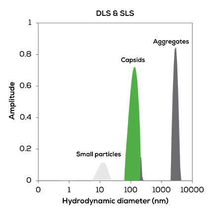 DLS & SLS Graph with labels_small