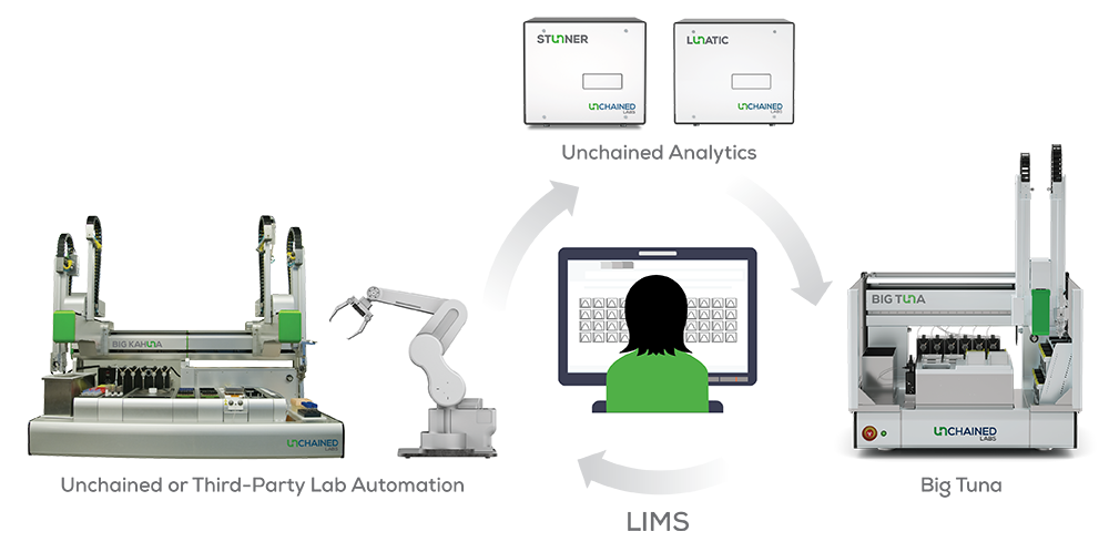 Illustration of Big Tuna integrated with other Unchained Labs instruments for automated buffer exchange workflows.