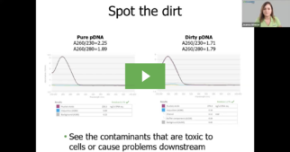 Virtual Seminar: Get a grip on your pDNA characterization with Lunatic