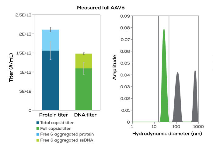 Figure 1B full aav titer