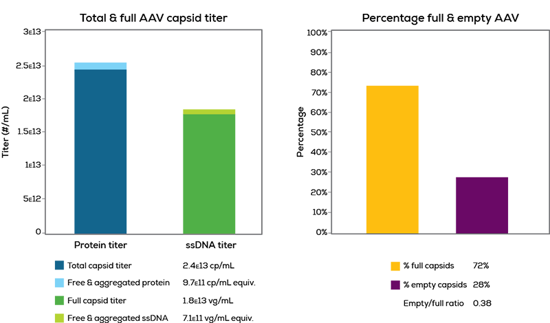 Bar charts showing AAV particle concentration and packaging efficiency measured by DLS and UV/Vis protein analysis equipment.