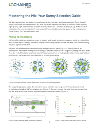 Mastering the Mix: Your Sunny Selection Guide