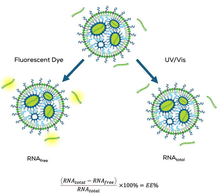 Figure-4-2
