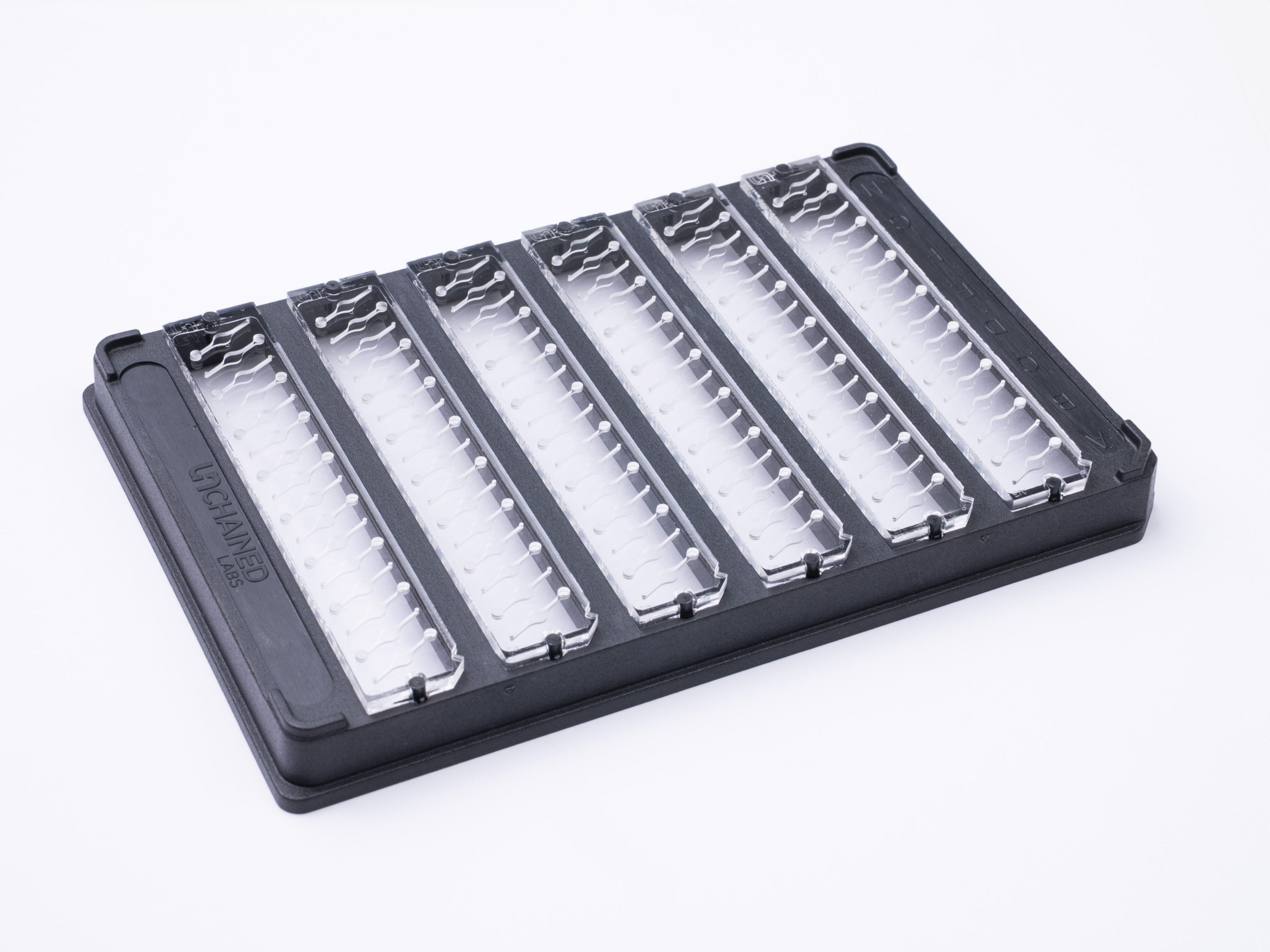 20 Aunty plates - unchainedlabs