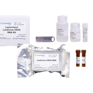 Leprechaun Lentivirus VSVG RNA Kit