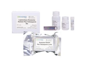 Leprechaun Exosome Human Pan-Tetraspanin Kit