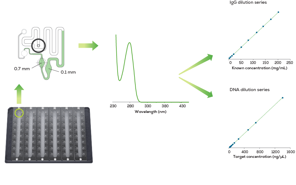 Lunatic-graphic_quantification