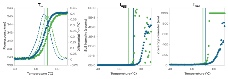 Same-time protein unfolding and aggregation on Aunty